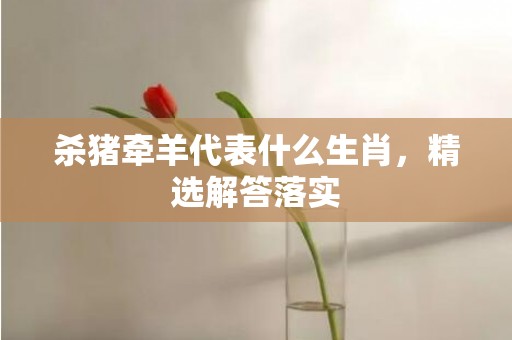 杀猪牵羊代表什么生肖，精选解答落实