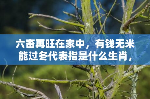 六畜再旺在家中，有钱无米能过冬代表指是什么生肖，详细解释落实