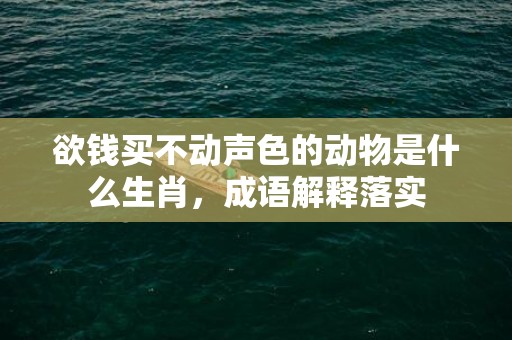 欲钱买不动声色的动物是什么生肖，成语解释落实