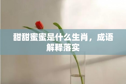 甜甜蜜蜜是什么生肖，成语解释落实