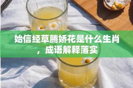 始信经草腾娇花是什么生肖，成语解释落实