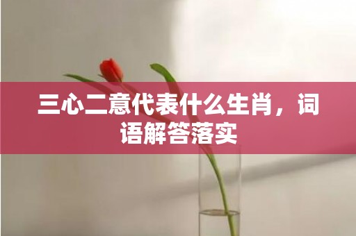 三心二意代表什么生肖，词语解答落实