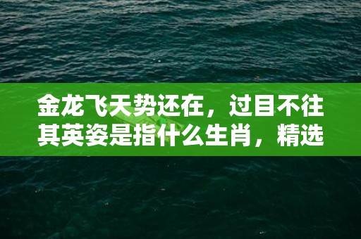 金龙飞天势还在，过目不往其英姿是指什么生肖，精选词语落实