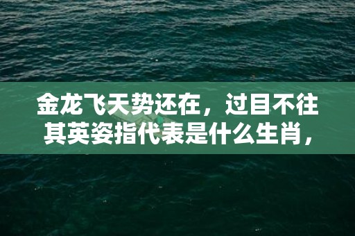 金龙飞天势还在，过目不往其英姿指代表是什么生肖，全面解答落实