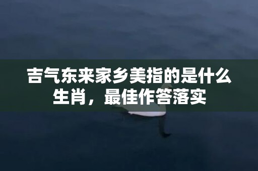 吉气东来家乡美指的是什么生肖，最佳作答落实