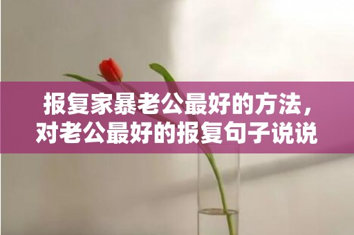 报复家暴老公最好的方法，对老公最好的报复句子说说 男人我必须报复你的说说