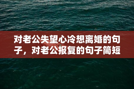 对老公失望心冷想离婚的句子，对老公报复的句子简短，感谢老公辛苦付出句子