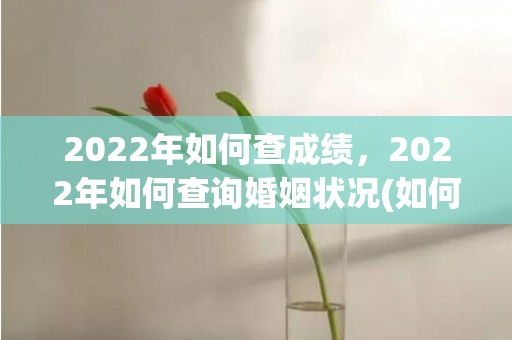 2022年如何查成绩，2022年如何查询婚姻状况(如何查一个人是否有婚姻)