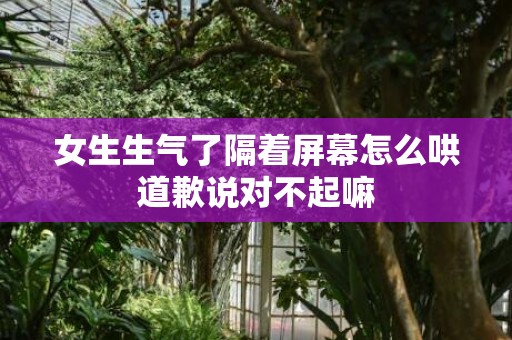 女生生气了隔着屏幕怎么哄道歉说对不起嘛