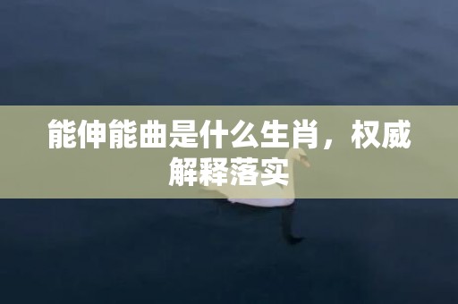 能伸能曲是什么生肖，权威解释落实