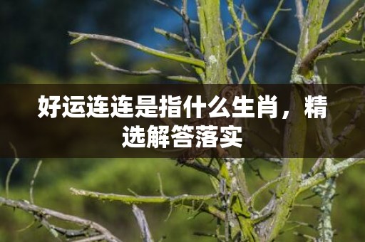 好运连连是指什么生肖，精选解答落实