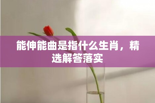 能伸能曲是指什么生肖，精选解答落实