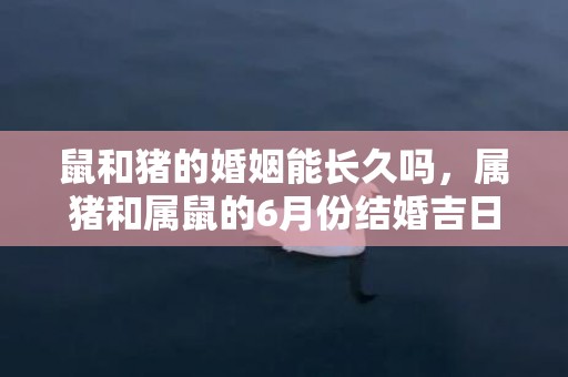 鼠和猪的婚姻能长久吗，属猪和属鼠的6月份结婚吉日是哪几天？属猪男和属鼠女几月结婚最好