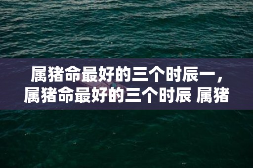 属猪命最好的三个时辰一，属猪命最好的三个时辰 属猪的生辰八字什么时候最好