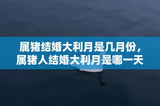 属猪结婚大利月是几月份，属猪人结婚大利月是哪一天