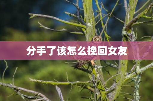 分手了该怎么挽回女友