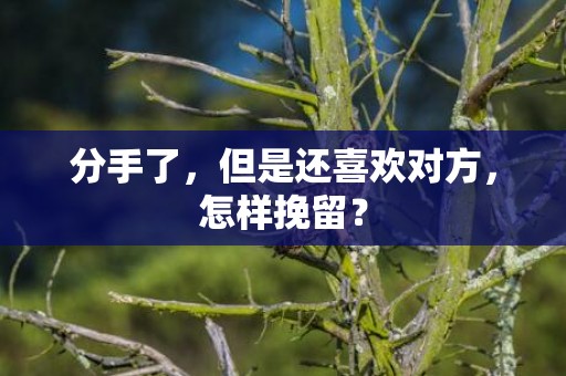 分手了，但是还喜欢对方，怎样挽留？