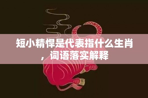 短小精悍是代表指什么生肖，词语落实解释