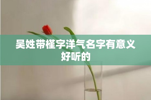 吴姓带槿字洋气名字有意义好听的