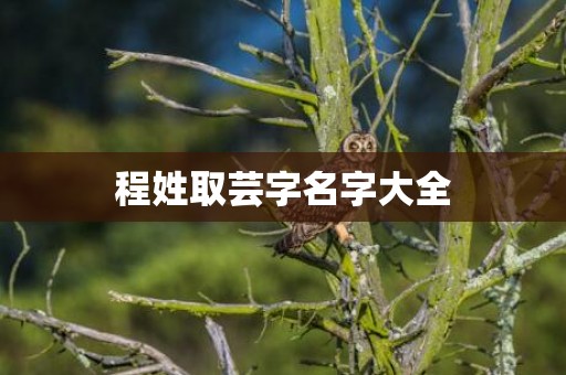 程姓取芸字名字大全