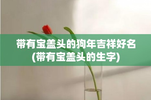 带有宝盖头的狗年吉祥好名(带有宝盖头的生字)