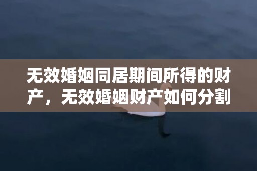 无效婚姻同居期间所得的财产，无效婚姻财产如何分割