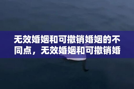 无效婚姻和可撤销婚姻的不同点，无效婚姻和可撤销婚姻的联系与区别