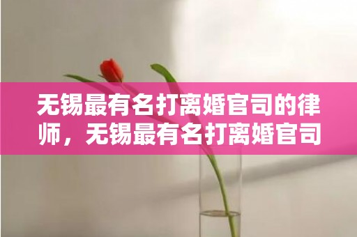 无锡最有名打离婚官司的律师，无锡最有名打离婚官司的律师是谁