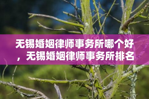 无锡婚姻律师事务所哪个好，无锡婚姻律师事务所排名