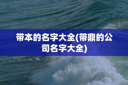 带本的名字大全(带鼎的公司名字大全)