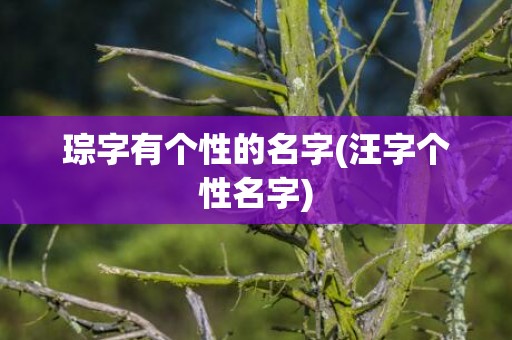 琮字有个性的名字(汪字个性名字)