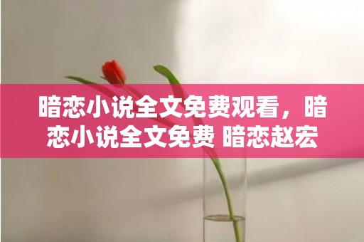 暗恋小说全文免费观看，暗恋小说全文免费 暗恋赵宏第14章