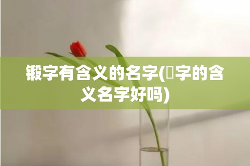 锻字有含义的名字(涬字的含义名字好吗)