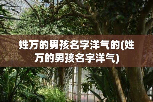 姓万的男孩名字洋气的(姓万的男孩名字洋气)