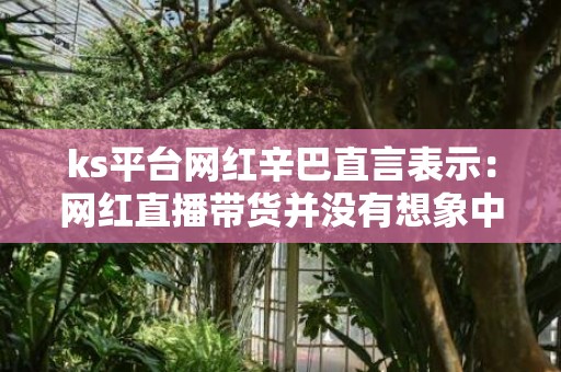 ks平台网红辛巴直言表示：网红直播带货并没有想象中的那么暴利，很多网红都是漏税才有的钱!