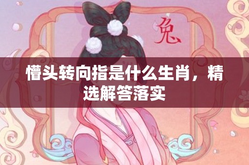 懵头转向指是什么生肖，精选解答落实