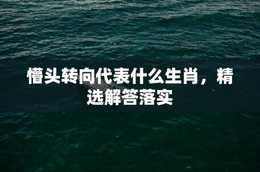 懵头转向代表什么生肖，精选解答落实