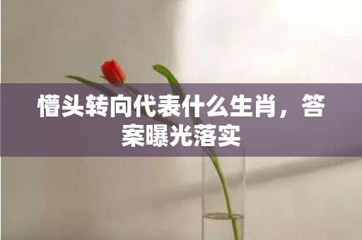 懵头转向代表什么生肖，答案曝光落实