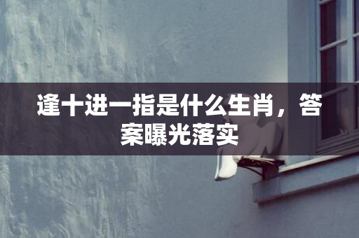 逢十进一指是什么生肖，答案曝光落实