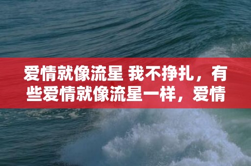 爱情就像流星 我不挣扎，有些爱情就像流星一样，爱情就像万有引力