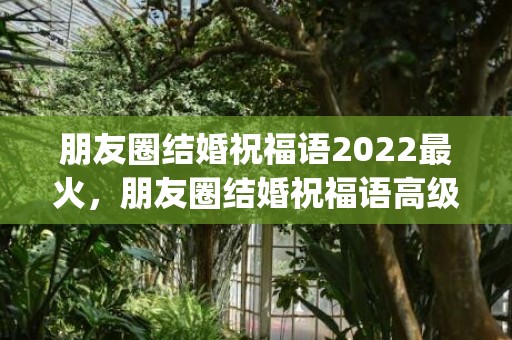 朋友圈结婚祝福语2022最火，朋友圈结婚祝福语高级一点的文案简短幽默(祝福语简短创意)