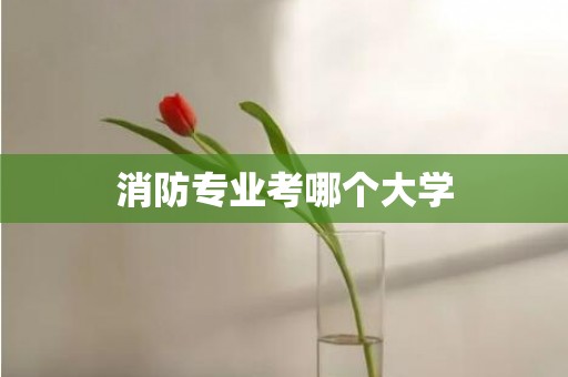 消防专业考哪个大学