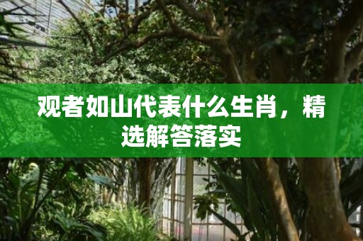 观者如山代表什么生肖，精选解答落实