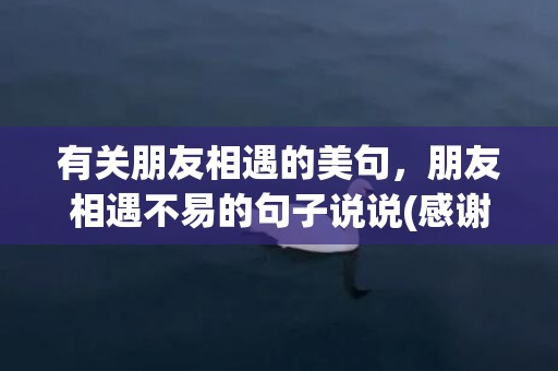 有关朋友相遇的美句，朋友相遇不易的句子说说(感谢相遇的句子)