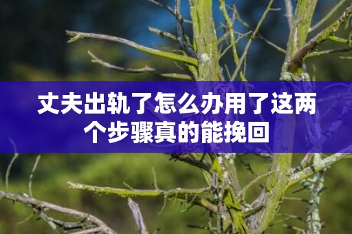 丈夫出轨了怎么办用了这两个步骤真的能挽回