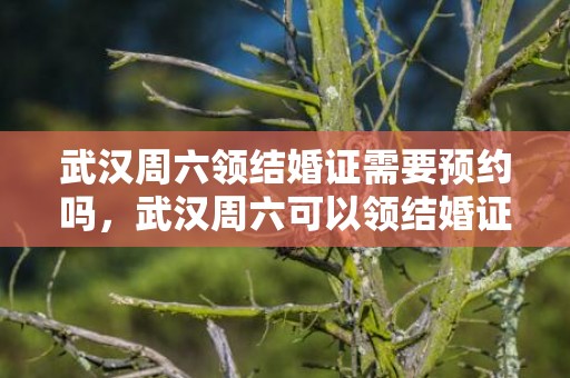 武汉周六领结婚证需要预约吗，武汉周六可以领结婚证吗 武汉市婚姻登记处周六上班吗