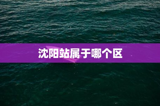 沈阳站属于哪个区