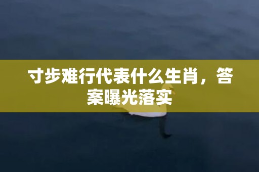 寸步难行代表什么生肖，答案曝光落实