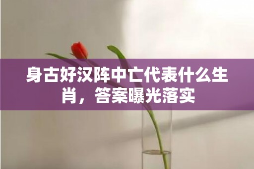 身古好汉阵中亡代表什么生肖，答案曝光落实