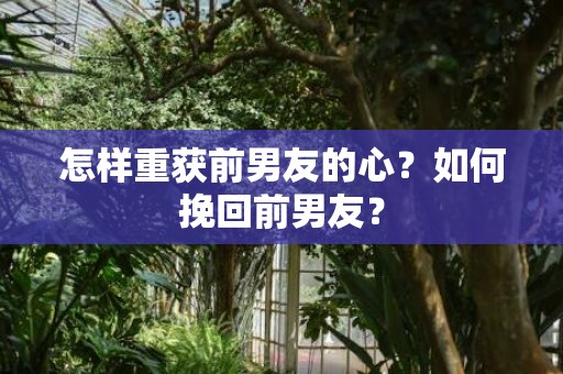 怎样重获前男友的心？如何挽回前男友？